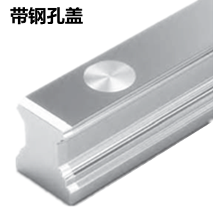 力士乐导轨 滚珠导轨
德国力士乐配用钢制孔盖的SNS导轨 力士乐导轨 滚珠导轨
德国力士乐配用钢制孔盖的SNS导轨