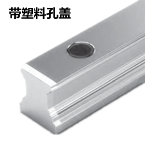 力士乐导轨 滚珠导轨
德国力士乐配用塑料孔盖的SNS导轨 力士乐导轨 滚珠导轨
德国力士乐配用塑料孔盖的SNS导轨