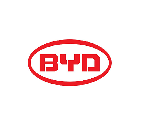 ǵ